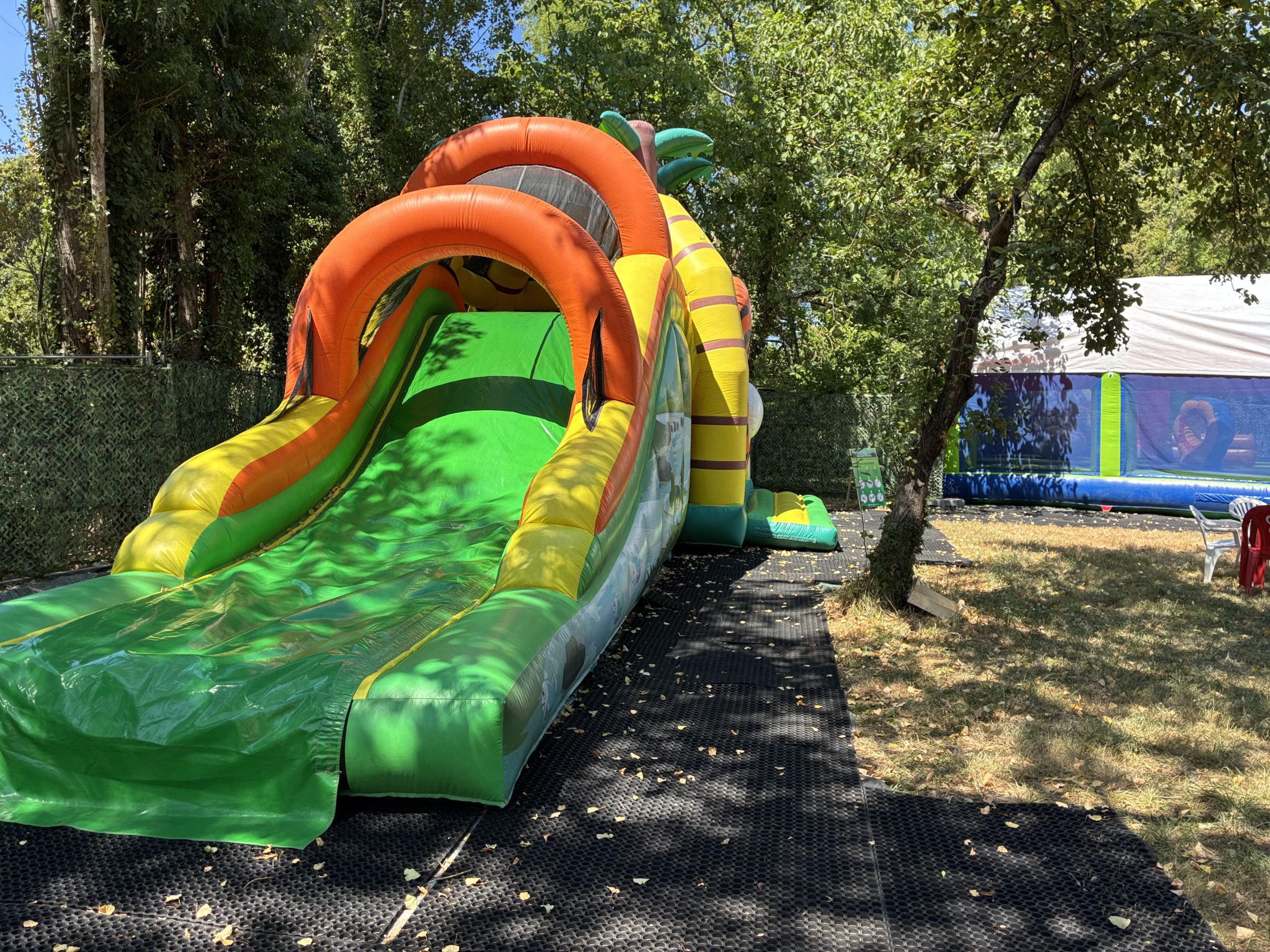 Fest'y Parc Cluny tigre